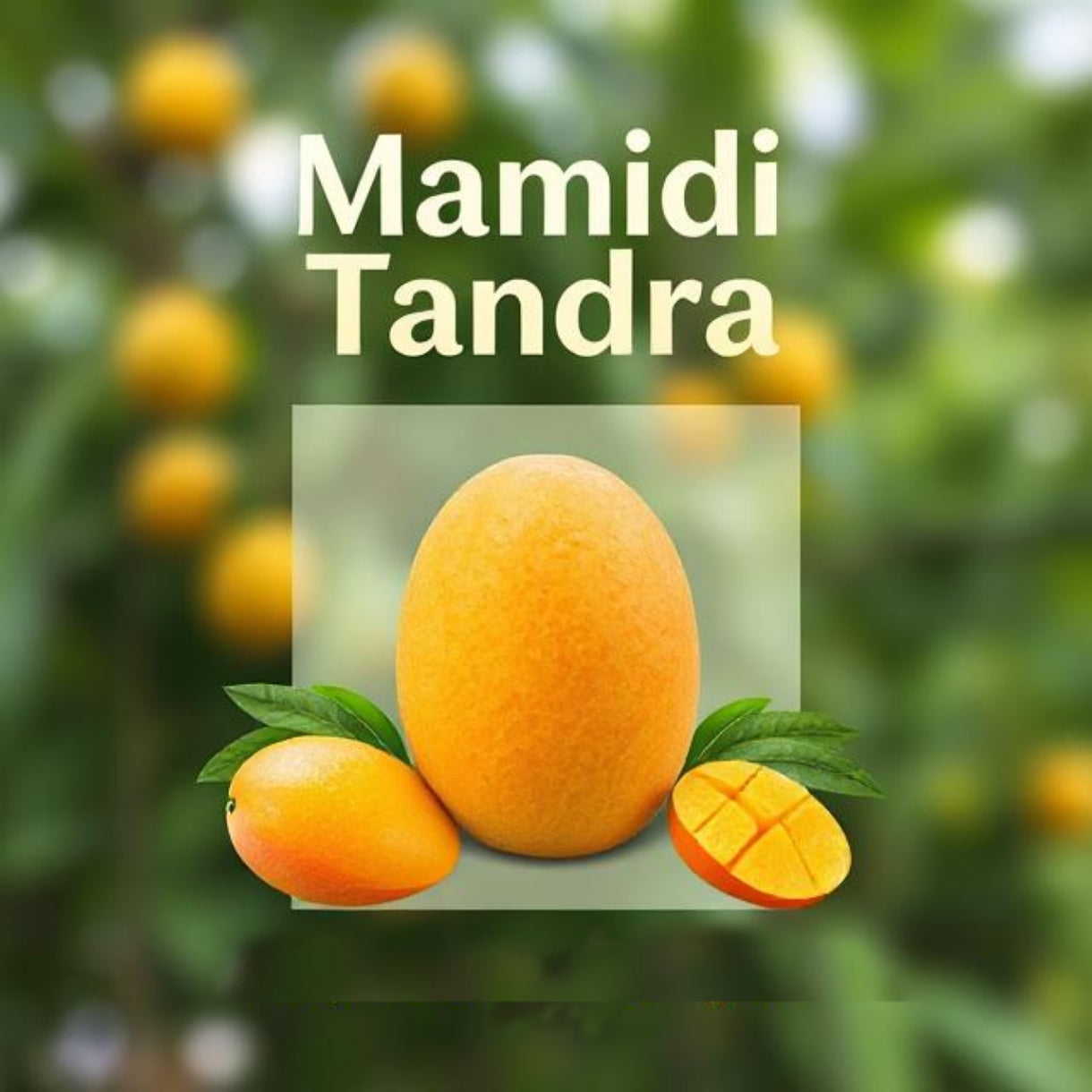 Mamidi Tandra 1KG